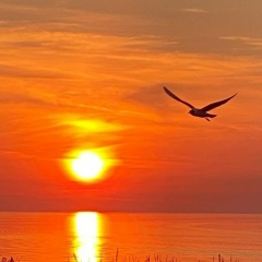 Леонид Трясин, Новодвинск