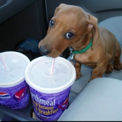 Леха Радин, 31.05, Москва