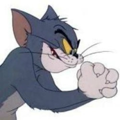 Александр Стефуришин, Санкт-Петербург