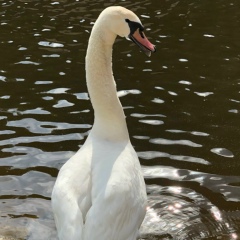 Наталья Круглик, 20.03, Магнитогорск