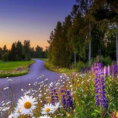 Наталья Подвиженко, 12.10.1976, Санкт-Петербург