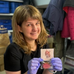 Александра Дуган, 18.12