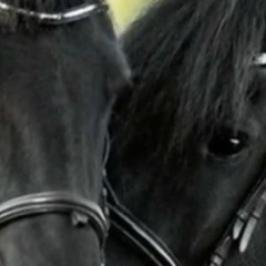 Алёна Платицина, Юрга