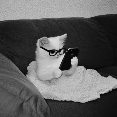 Алиса Прохорова