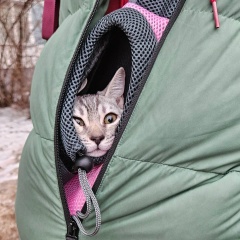 Сергей Сергеевич, Санкт-Петербург