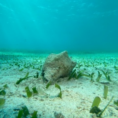 Юлия Калач, 26.12