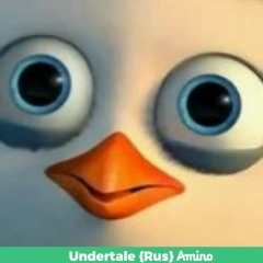 Светлана Харькова, 27.12.1981, Запорожье