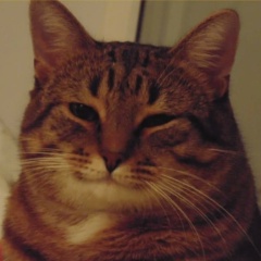 Антон Андрианов, 03.06, Санкт-Петербург