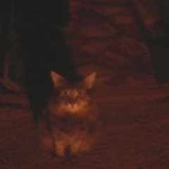 Илья Животягин, 23.03.2001, Шатура