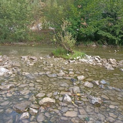 Екатерина Первая