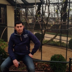 Davit Dadamyan, 05.11.1988, Зеленоград