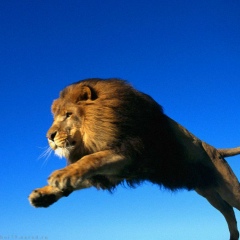 Анастасия Приятнова, 16.08.1984, Волжский