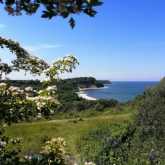 Оксана Ковалевич, 15.04, Санкт-Петербург