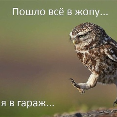 Денис Неверов, 30.01.1987, Alofi