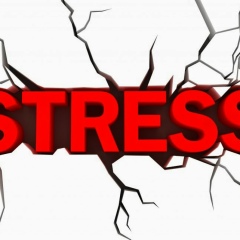 Andrey Andrey, 01.01, Москва