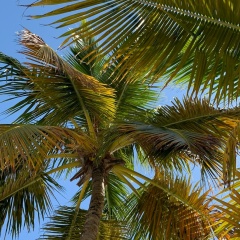 Алиса Мануилова, 14.05, Санкт-Петербург