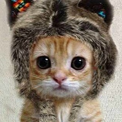 Денис Корнилов, 04.10