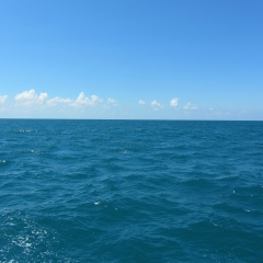 Ирина Владимировна