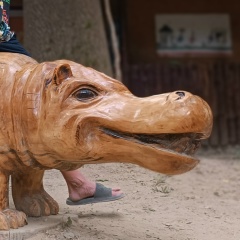 Максим Тимофеев, 05.06, Санкт-Петербург