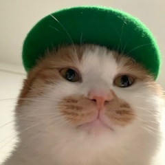 Олег Хо, 25.12, Москва