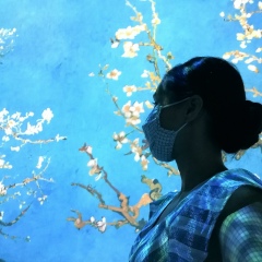 Nrj Jmd, 26.02.2011, Toronto