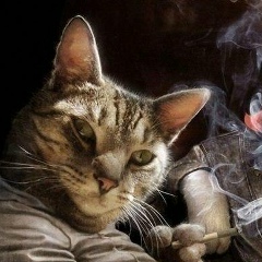 Иван Предеин, 28.03, Пермь