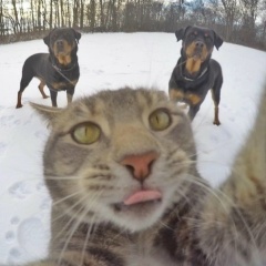 Денис Сила, 24.06, Новосибирск