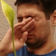 Арслан Алимов, Москва