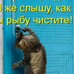 Исмаил Ташухаджиев, 12.12.1999