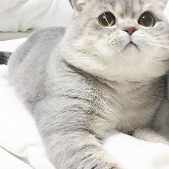 Рамнат Садыкова, 26.08.1993, Грозный