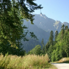 Болат Мылтыкбаев, Шымкент