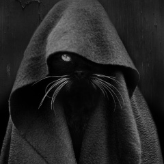 Саша Терешко, 27.09.1978, Сыктывкар