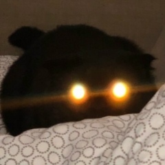 Илья Ермаков, 20.08.1990