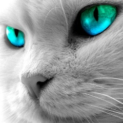 Оксана Рохманько, 23.07.1977, Кривой Рог