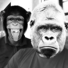 Аслан Баяндин, 12.03, Хромтау