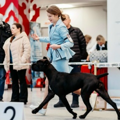 Олеся Ваньшова, Казань