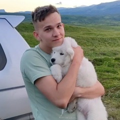 Женя Богомолов, Боринское