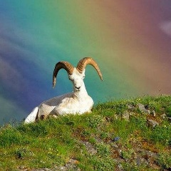 Елена Гетман, 28.12.1983