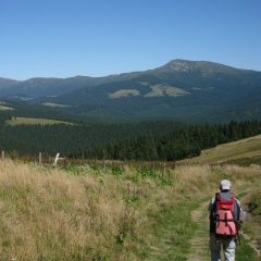 Олександр Котигорошко, 12.12.1984, Киев