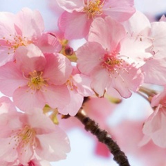 Sg Irgit, 16.02, Кызыл