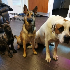 Anastasia Nieminen, 16.05, Мурманск