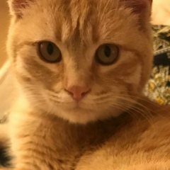 Наталья Морозова, 19.04, Смоленск