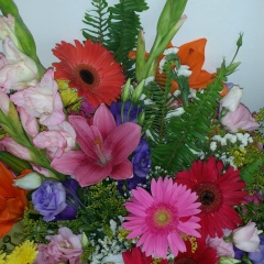 Олеся Соболь, 17.06.1983, Москва