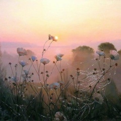 Ольга Колчина, 29.11, Полярные Зори