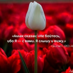 Хава Маг, 26.03.1989, Грозный