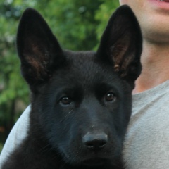 Саня Товстик, 23.07.1988, Кобрин