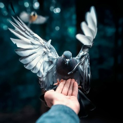 Валерка Найдин, 14.02.1987, Алматы