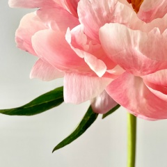 Анна Андреева, 02.02, Калининград