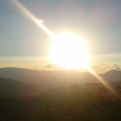 Станислав Гудков, 20.11