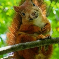 Наталья Гревцова, 19.12, Краснодар